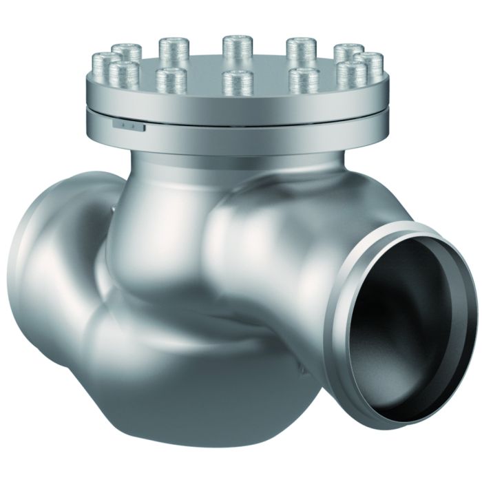 Rückschlagventil DN25(1") H75 main product photo