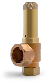 Safety Valves