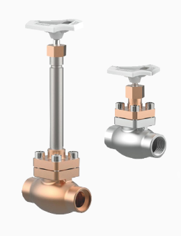 A picture of a Globe Valve