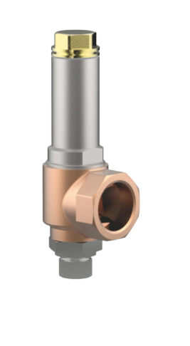 A picture of a Safety Valve